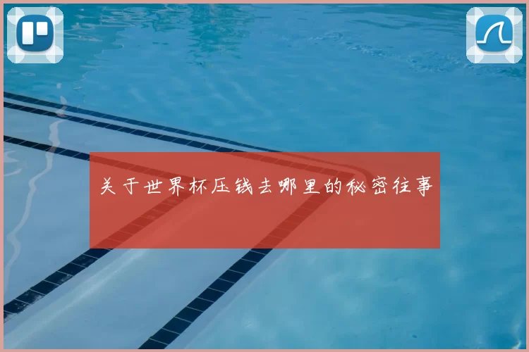 关于世界杯压钱去哪里的秘密往事