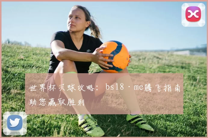 世界杯买球攻略：bs18·me腾飞指南助您赢取胜利