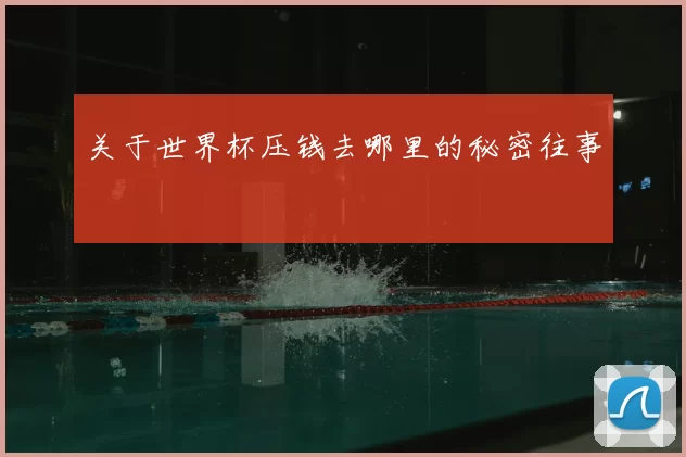 关于世界杯压钱去哪里的秘密往事