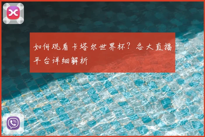如何观看卡塔尔世界杯?各大直播平台详细解析