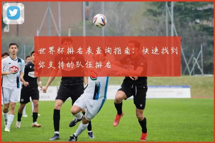 世界杯排名表查询指南:快速找到你支持的队伍排名