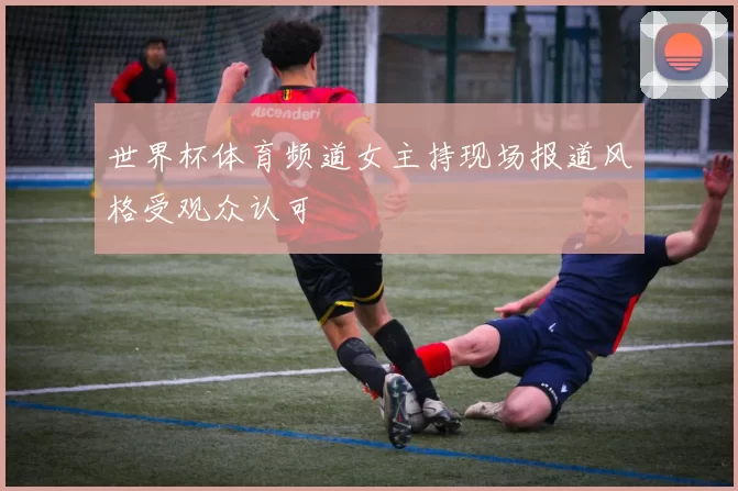 世界杯体育频道女主持现场报道风格受观众认可