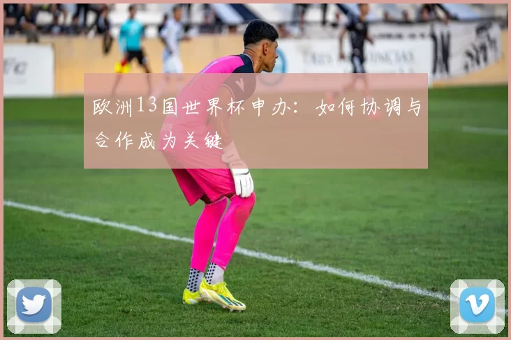 欧洲13国世界杯申办:如何协调与合作成为关键