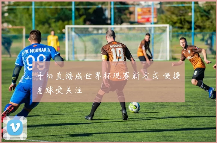 手机直播成世界杯观赛新方式 便捷看球受关注