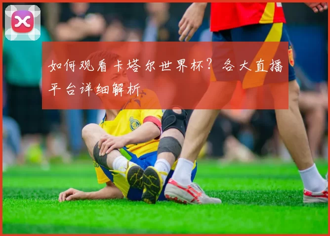 如何观看卡塔尔世界杯?各大直播平台详细解析
