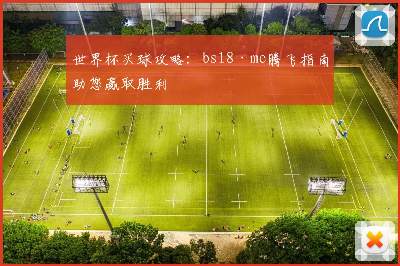 世界杯买球攻略：bs18·me腾飞指南助您赢取胜利