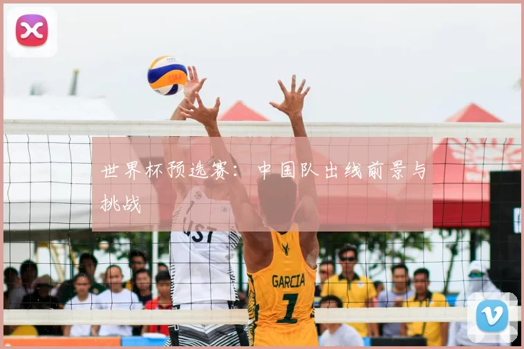 世界杯预选赛:中国队出线前景与挑战
