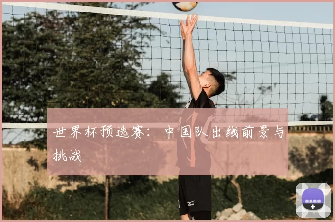 世界杯预选赛:中国队出线前景与挑战