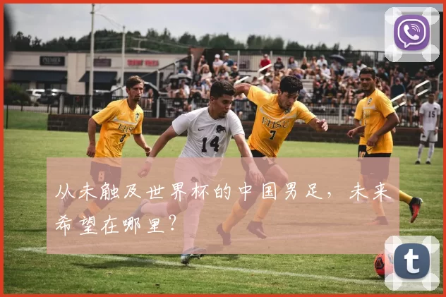 从未触及世界杯的中国男足,未来希望在哪里?