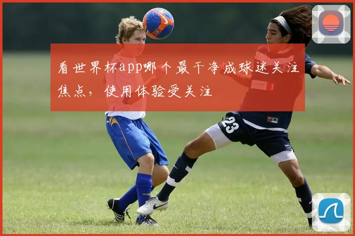 看世界杯app哪个最干净成球迷关注焦点,使用体验受关注