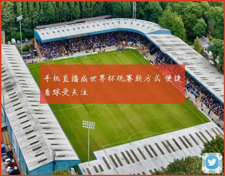 手机直播成世界杯观赛新方式 便捷看球受关注